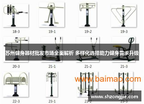 苏州健身器材批发市场全面解析 多样化选择助力健身需求升级