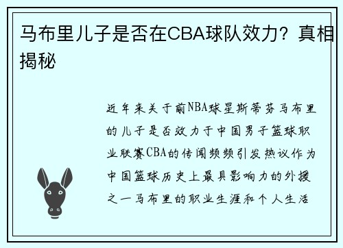 马布里儿子是否在CBA球队效力？真相揭秘