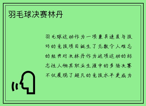 羽毛球决赛林丹
