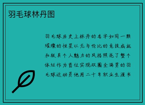 羽毛球林丹图